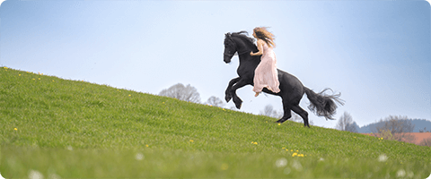 Pferdefotografie in der Praxis
