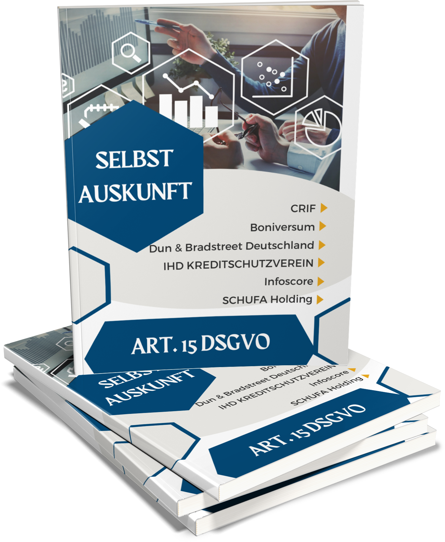 DeineDaten24-Mockup.png