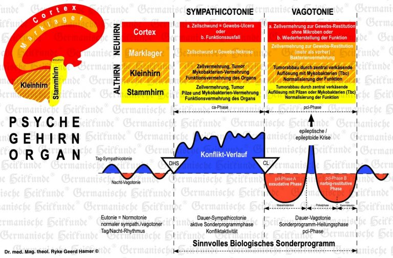 grafik-hamerscher-kompass-768x504.jpg
