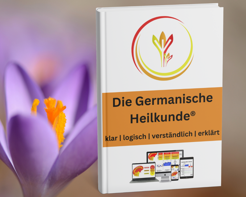 freebeeGHk-landingpage1.png