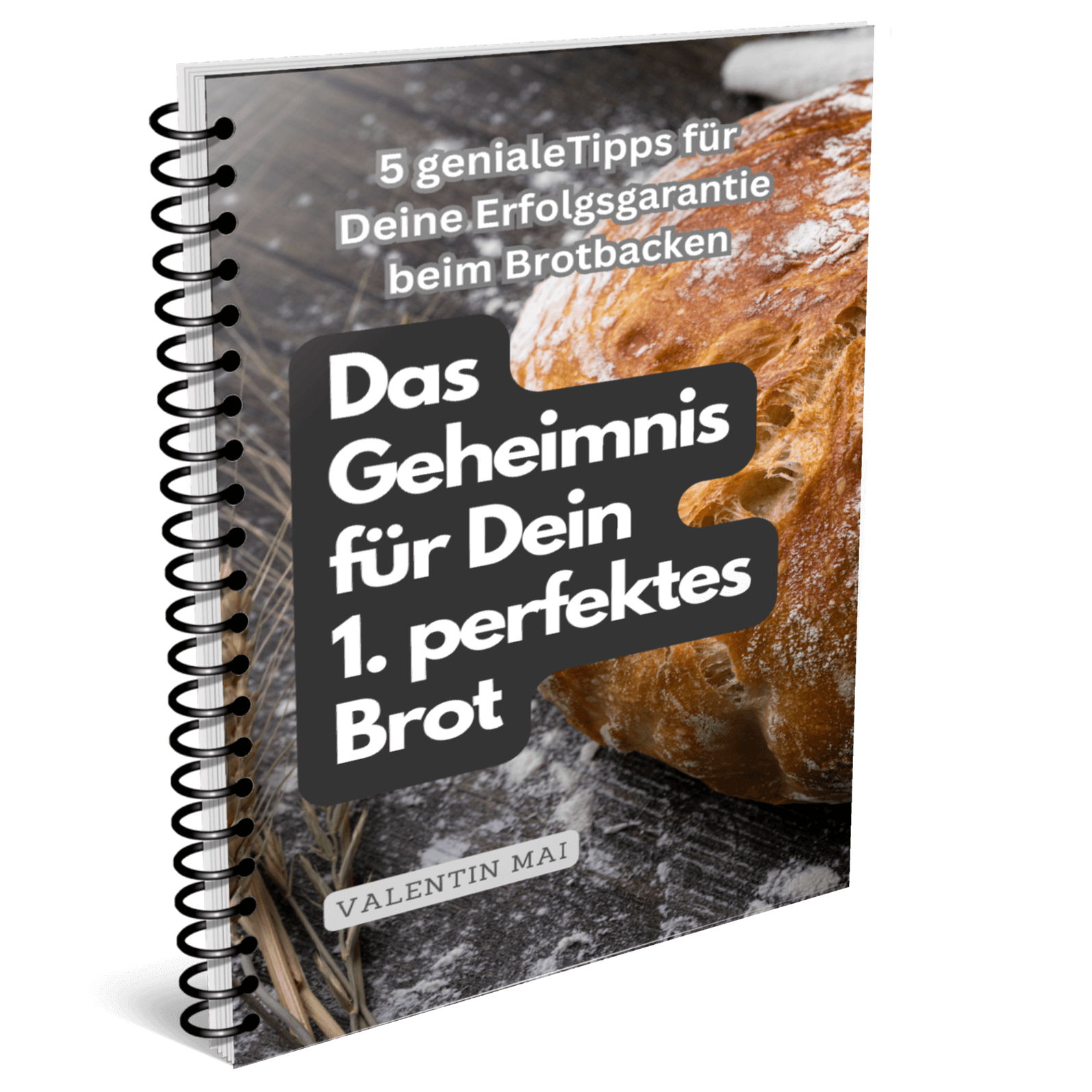 Dieses Bild auch in der Mobil-Ansicht ändern!!