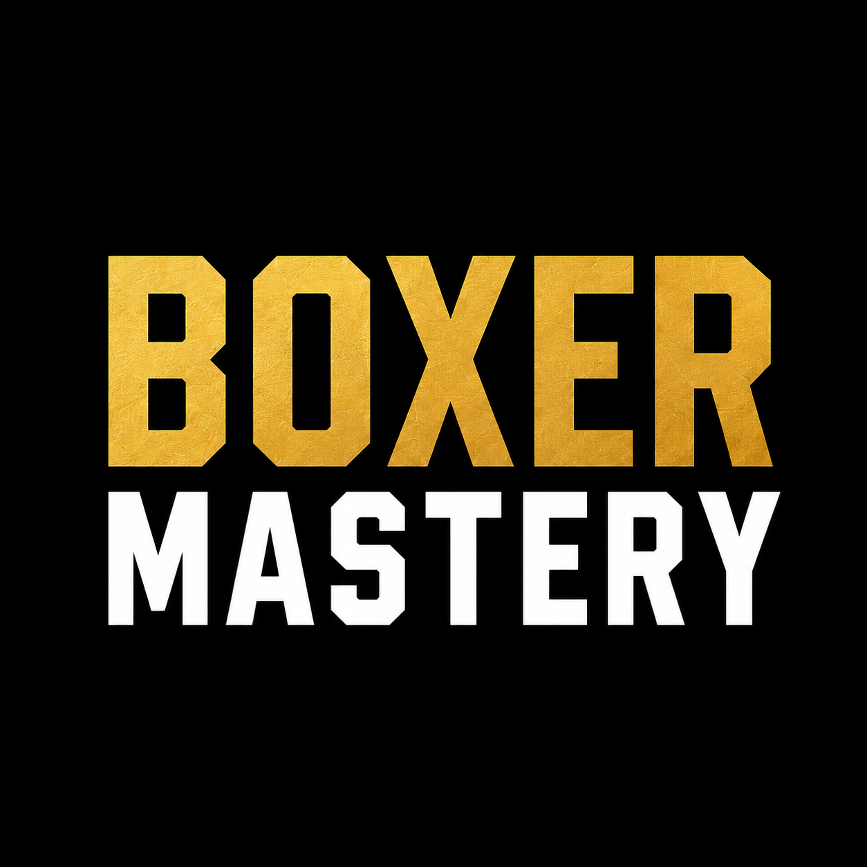 Boxer Mastery (Kleiens Logo).png