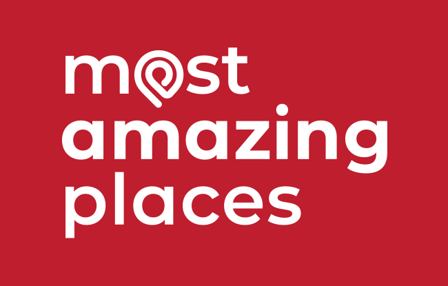 Logo partner