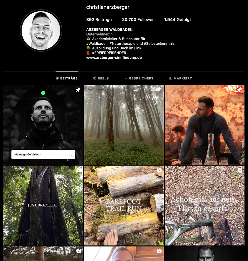 instaprofil screenshot vorschau.jpg