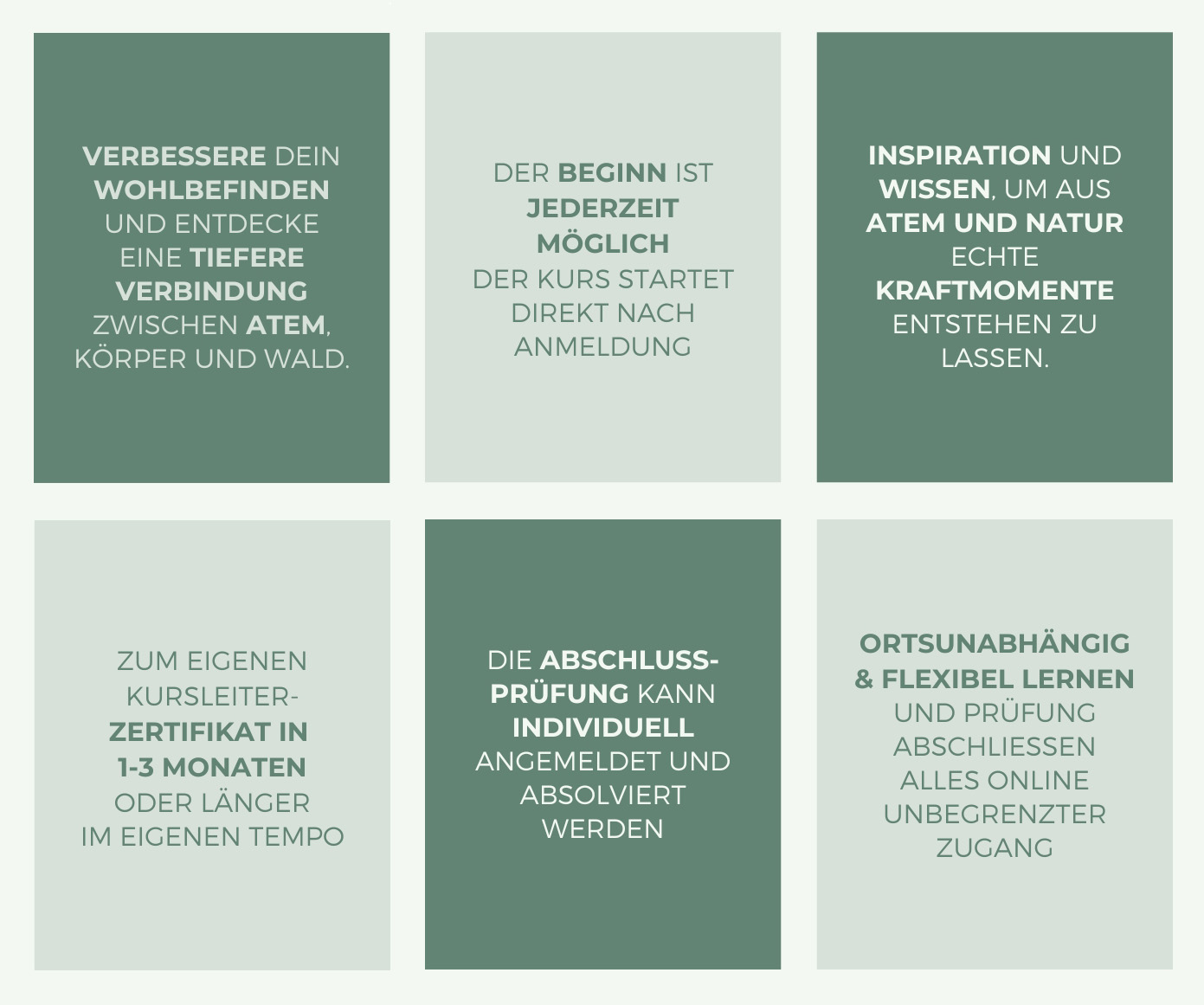 Grafik dein Waldbaden und Atmung Kurs quer.jpg