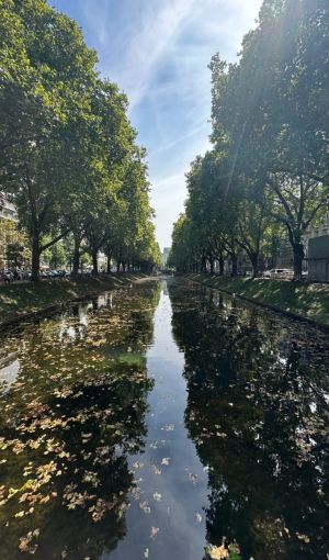 Kö-Graben der Königsallee