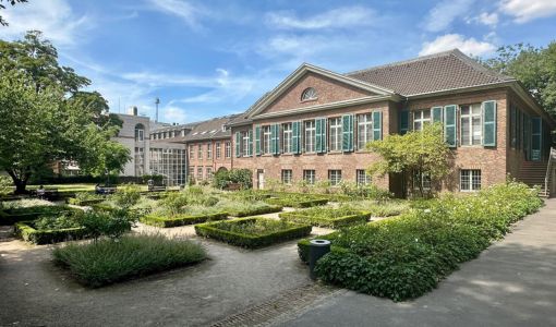 Der Rosengarten am Spee‘schen Palais
