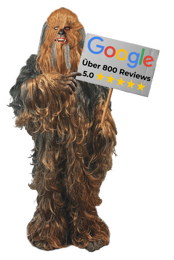 Über 800 Reviews (1).png