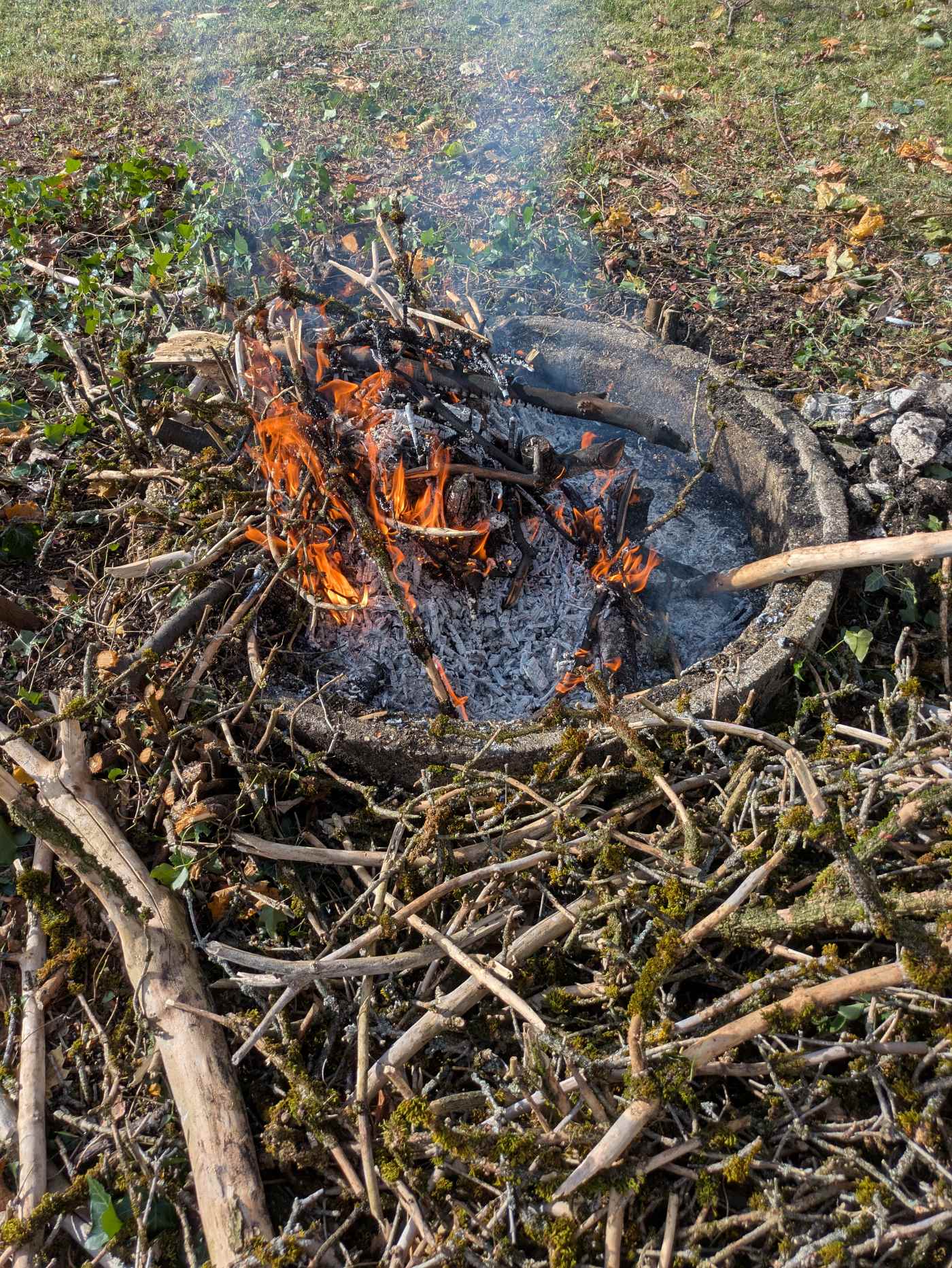 Feuer Gap 2PXL_20251101_101933314.MP[1].jpg