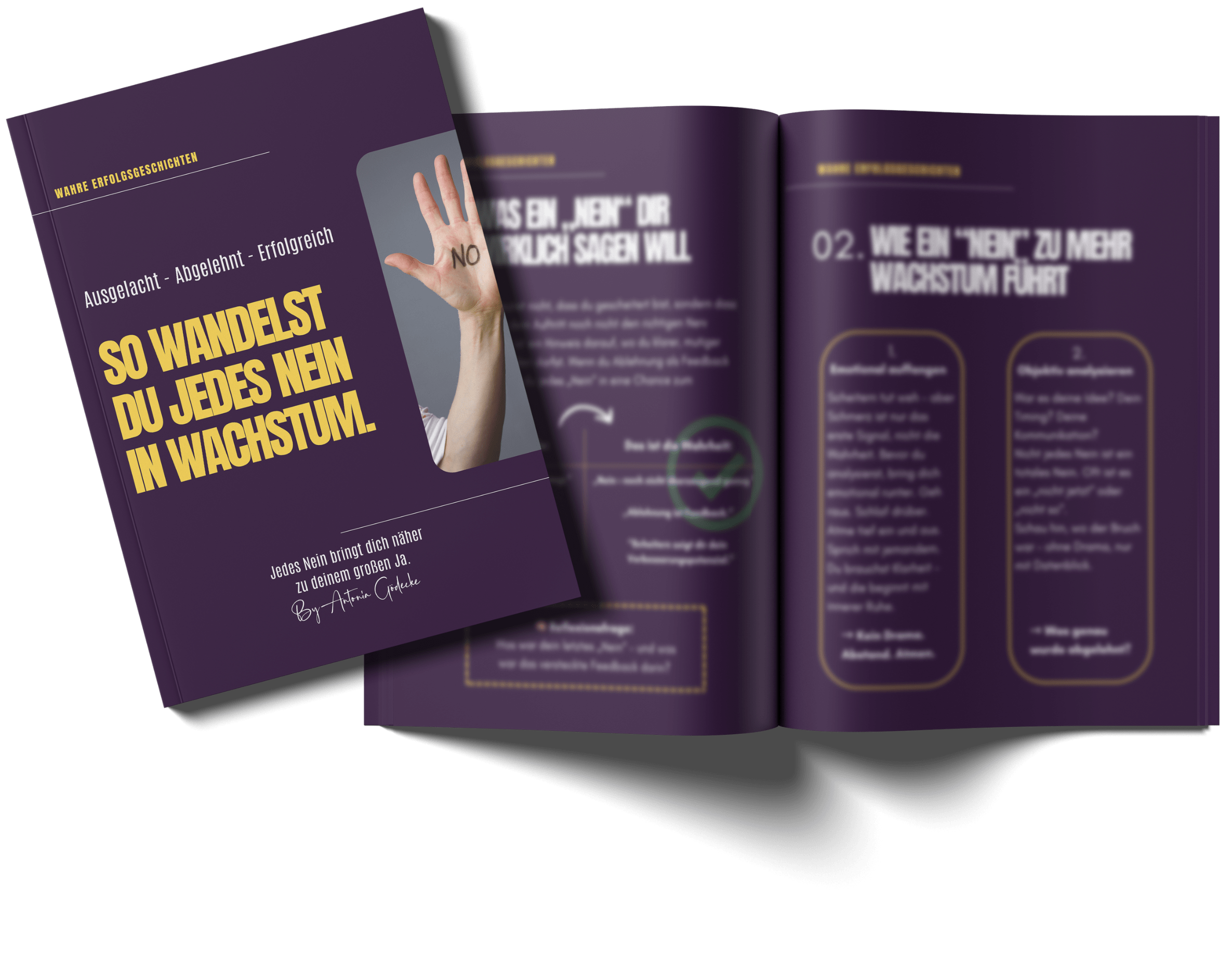 1Website Stuff-min (1).png