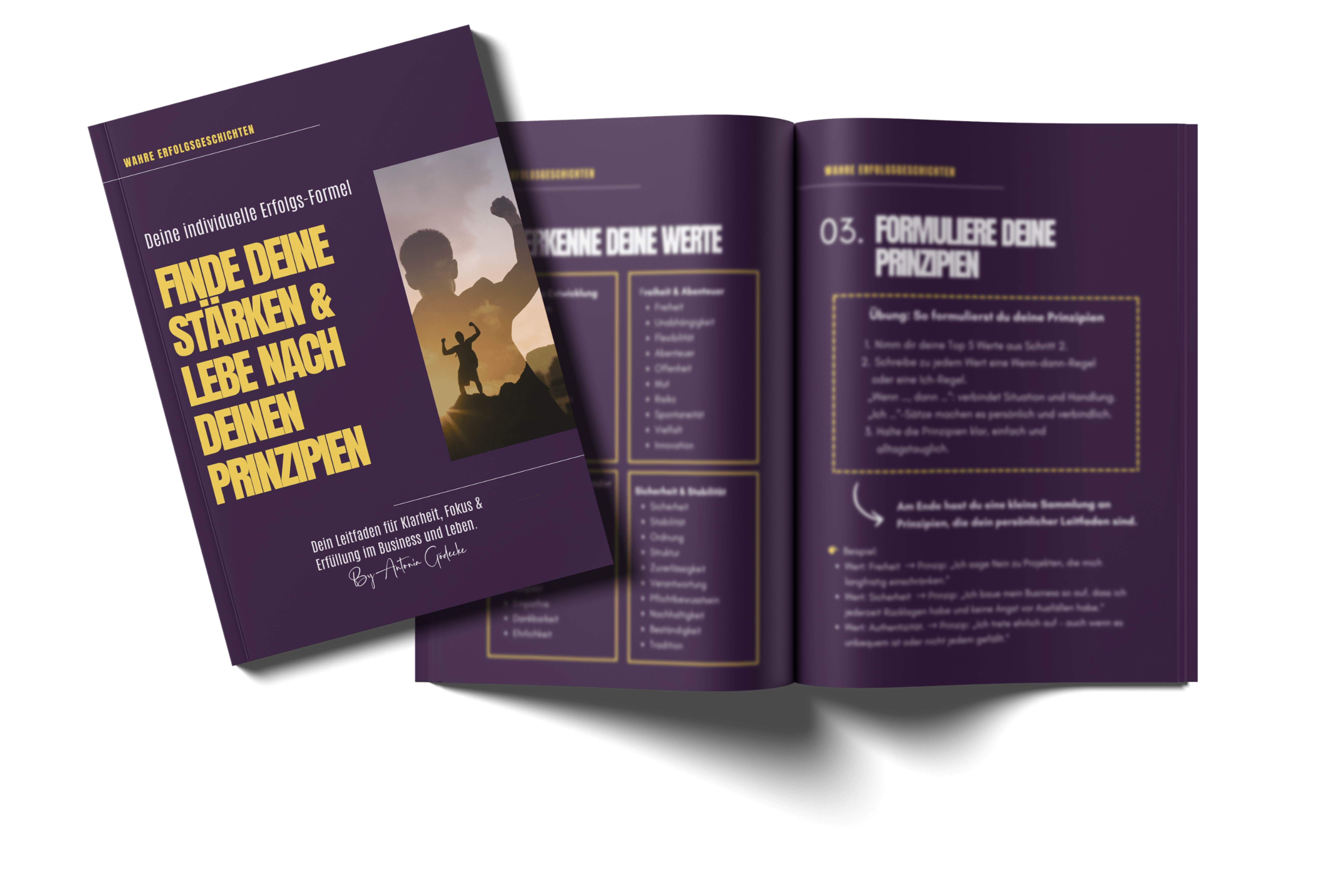 Website Stuff-min (1).png