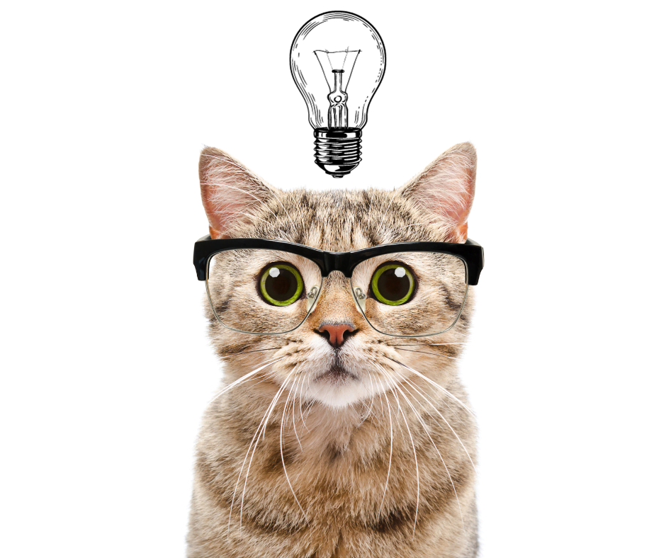 Design ohne Titel-6-2.png