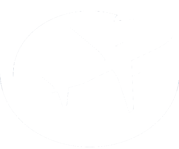 SkyCair Logo