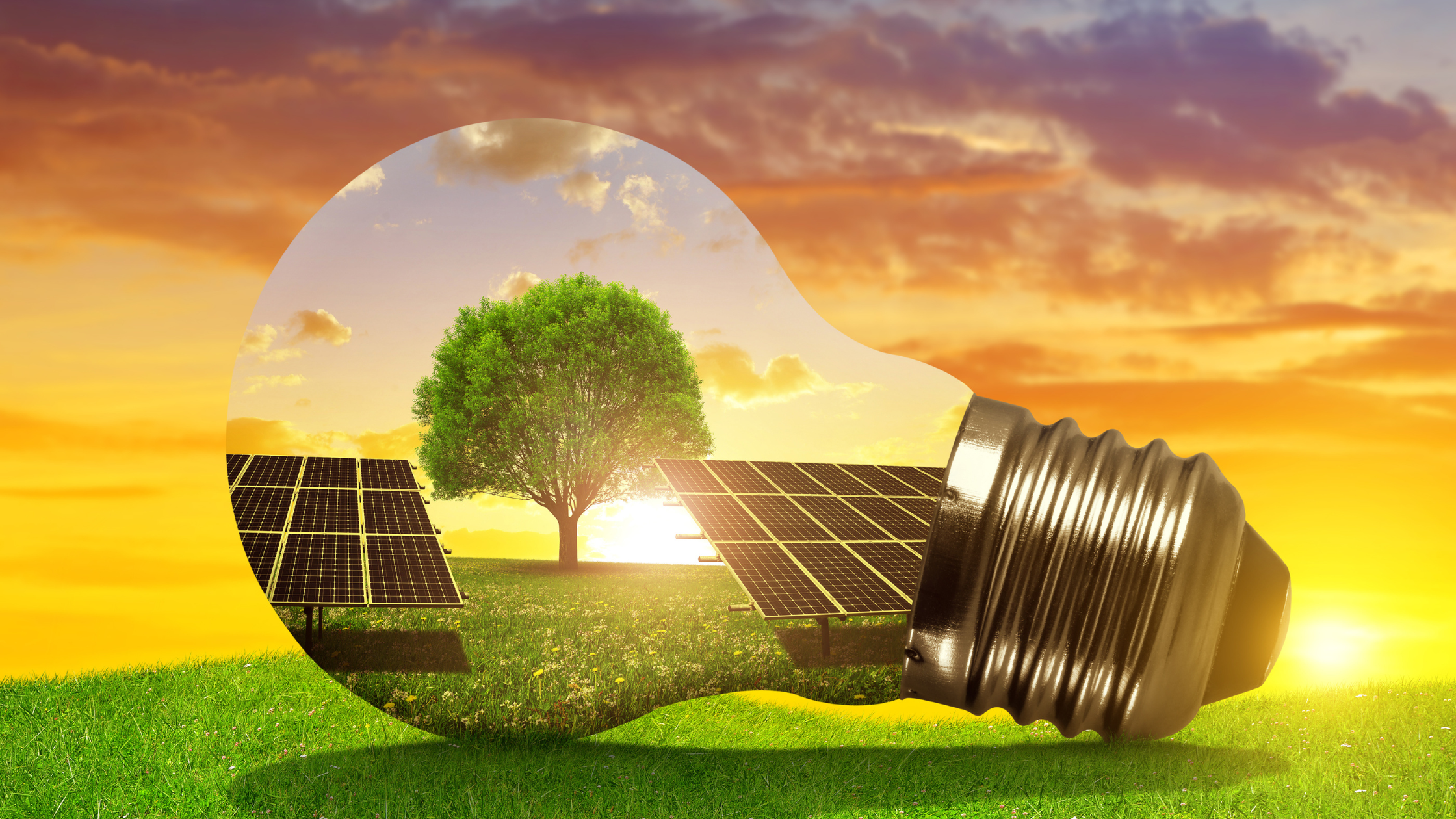 Grundlagen der Photovoltaik: So funktioniert die Sonnenenergie für Dich!