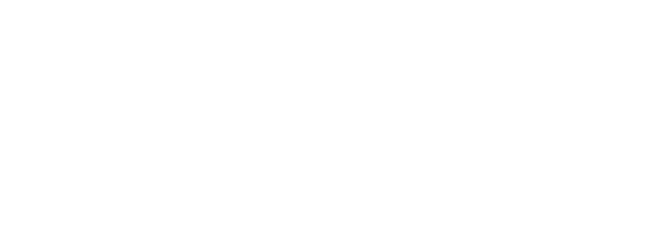 Logo-Partner-Weiss.png