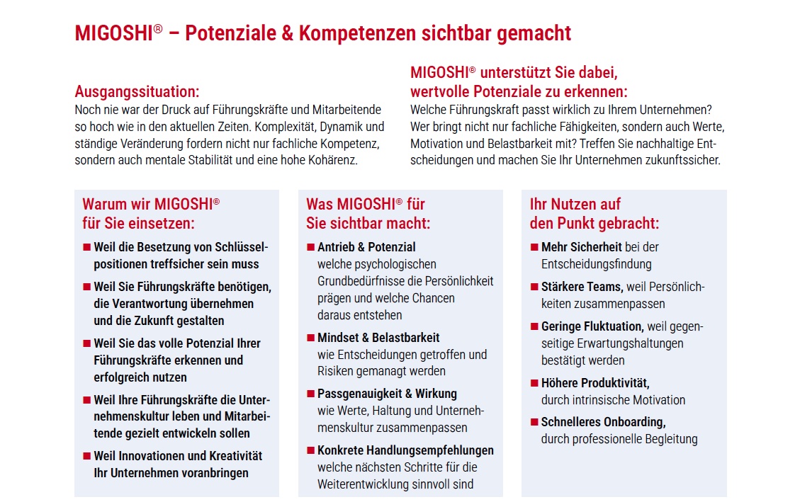 Migoshi Flyer Teil 1.jpg