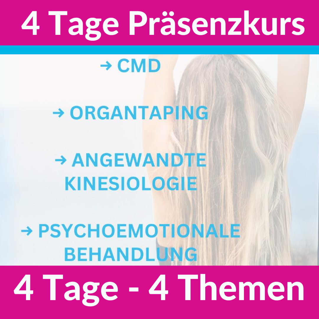 PTA 4 Tage 4 Themen.png