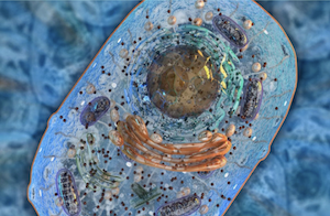 Bildschirmfoto 2026-01-13 um 12.06.33.png