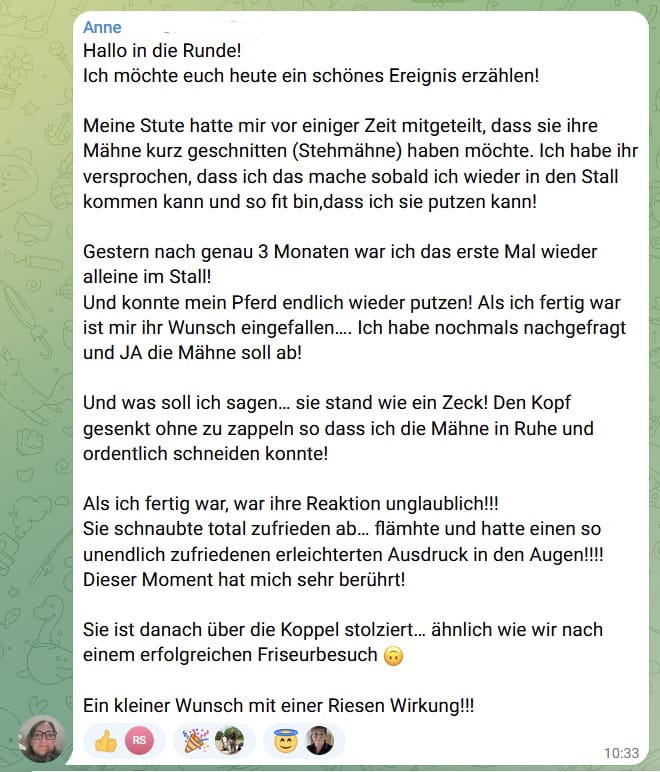 2025-12-31 Anne.jpeg