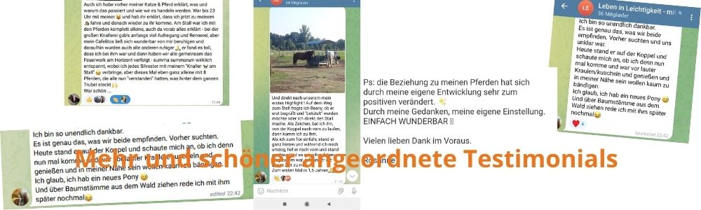 Testimonials für Optin-Seite.jpg
