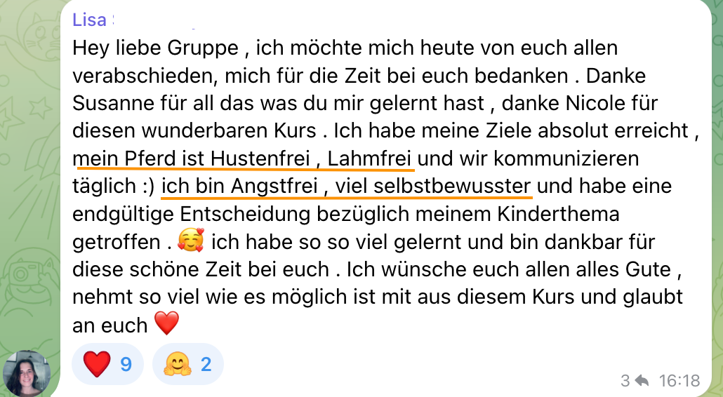 2025-12-29 Lisa Schallmeyer.png