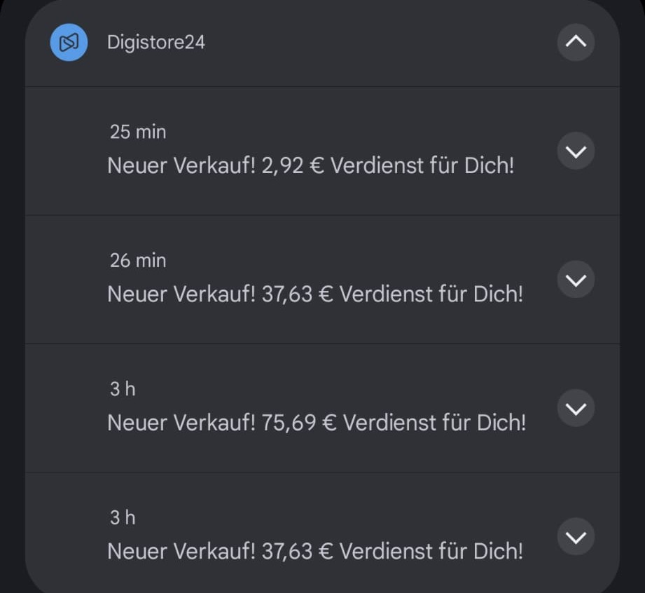 Bild 4.jpg