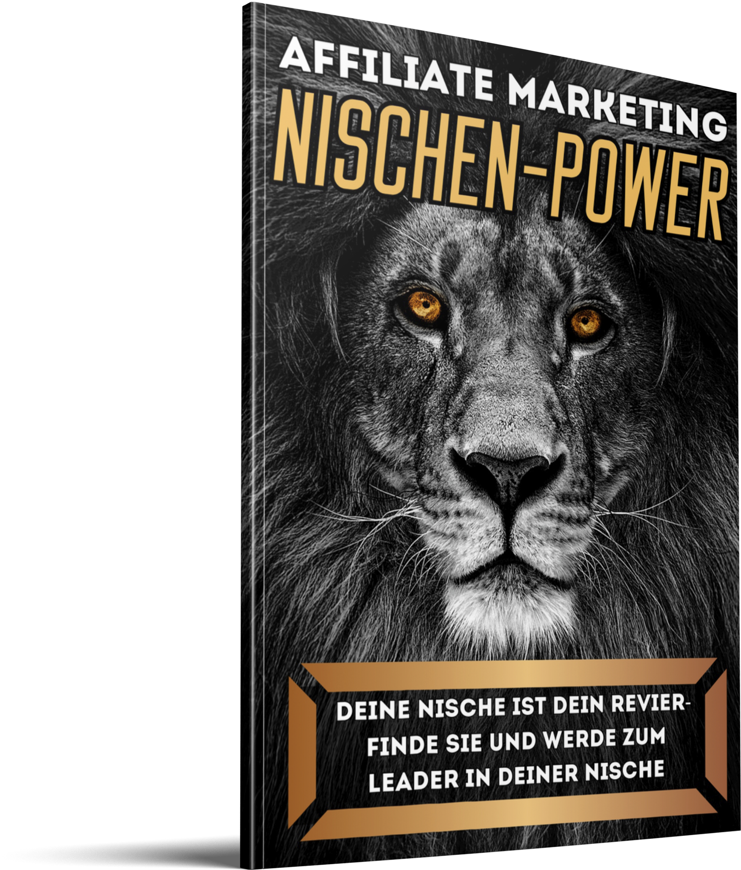 Nischen-Power Cover.png