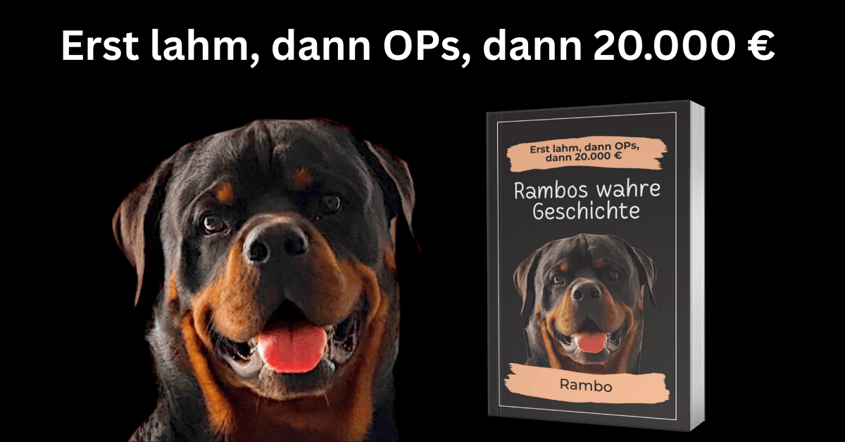 Rambo (7).png