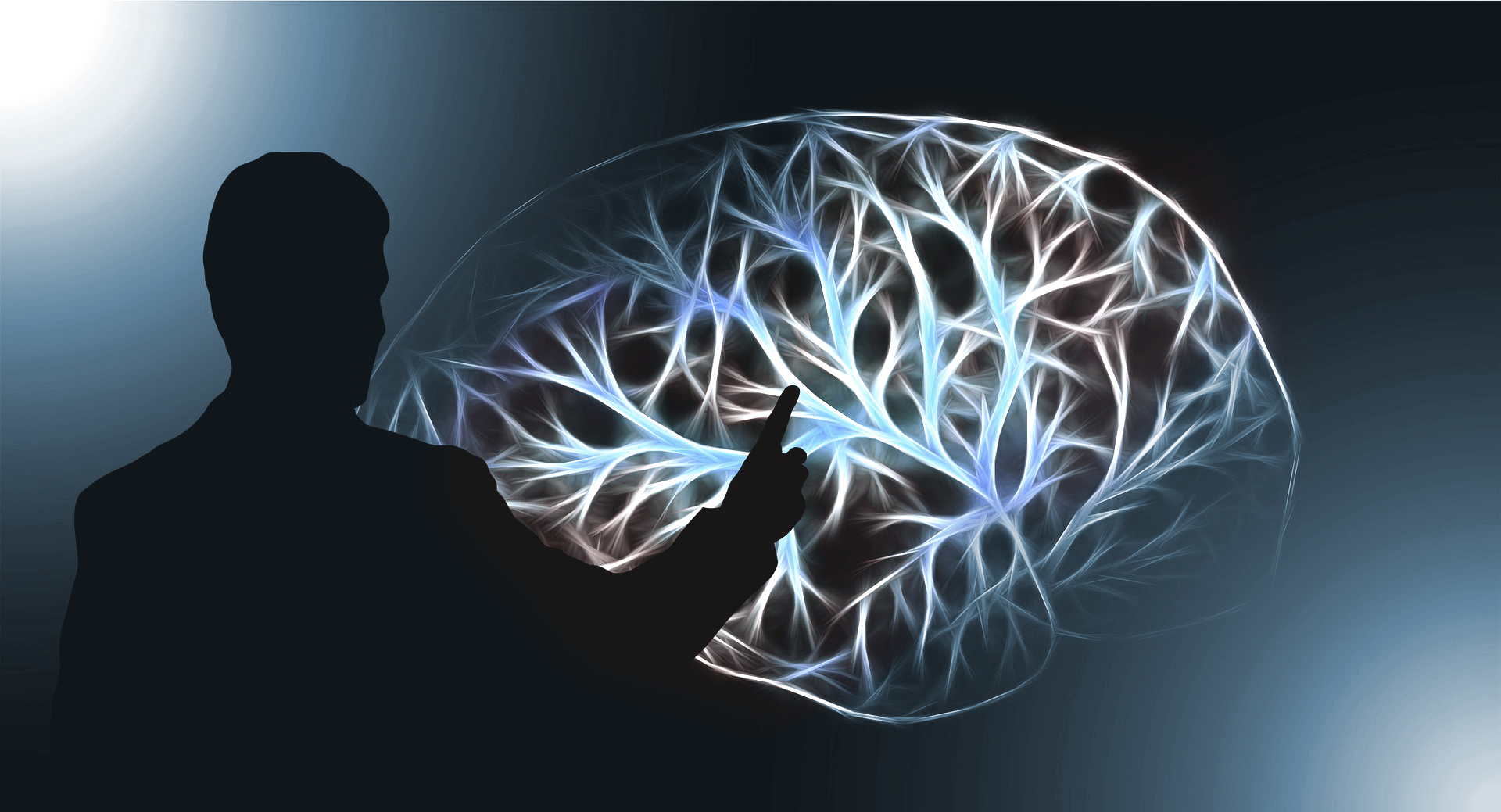 brain-3141247_1920_2.jpg