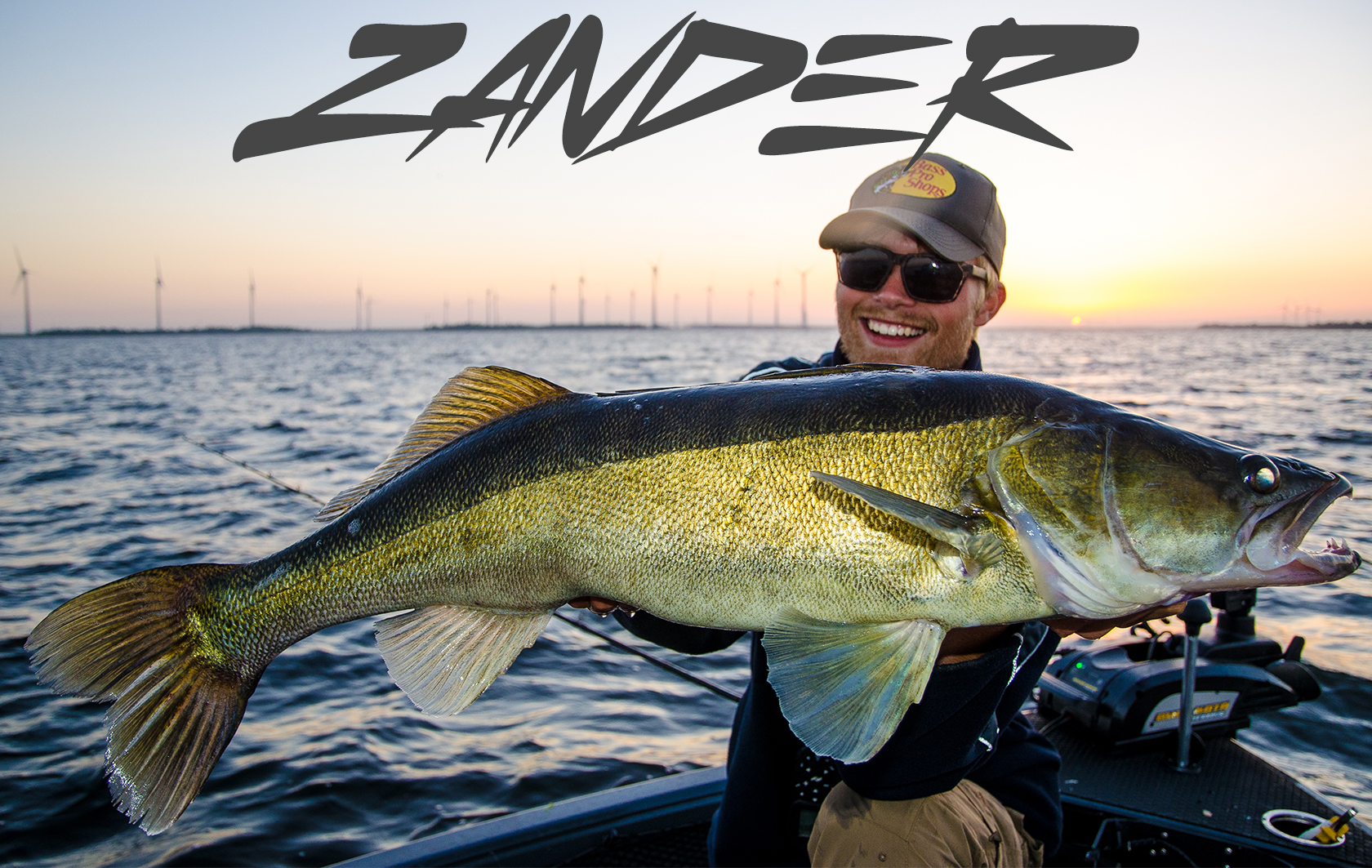 Zander.jpg