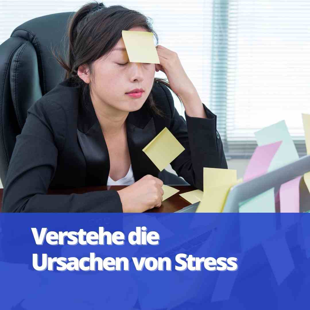 Was sind die Ursachen von Stress