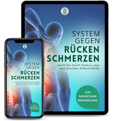System gegen Rückenschmerzen Produktbild