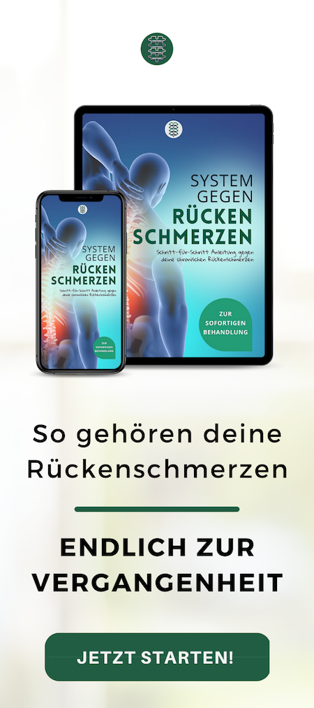 System-gegen-Rückenschmerzen Sidebar