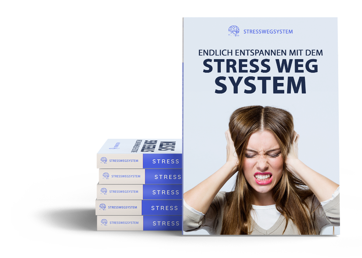 Stress Weg System
