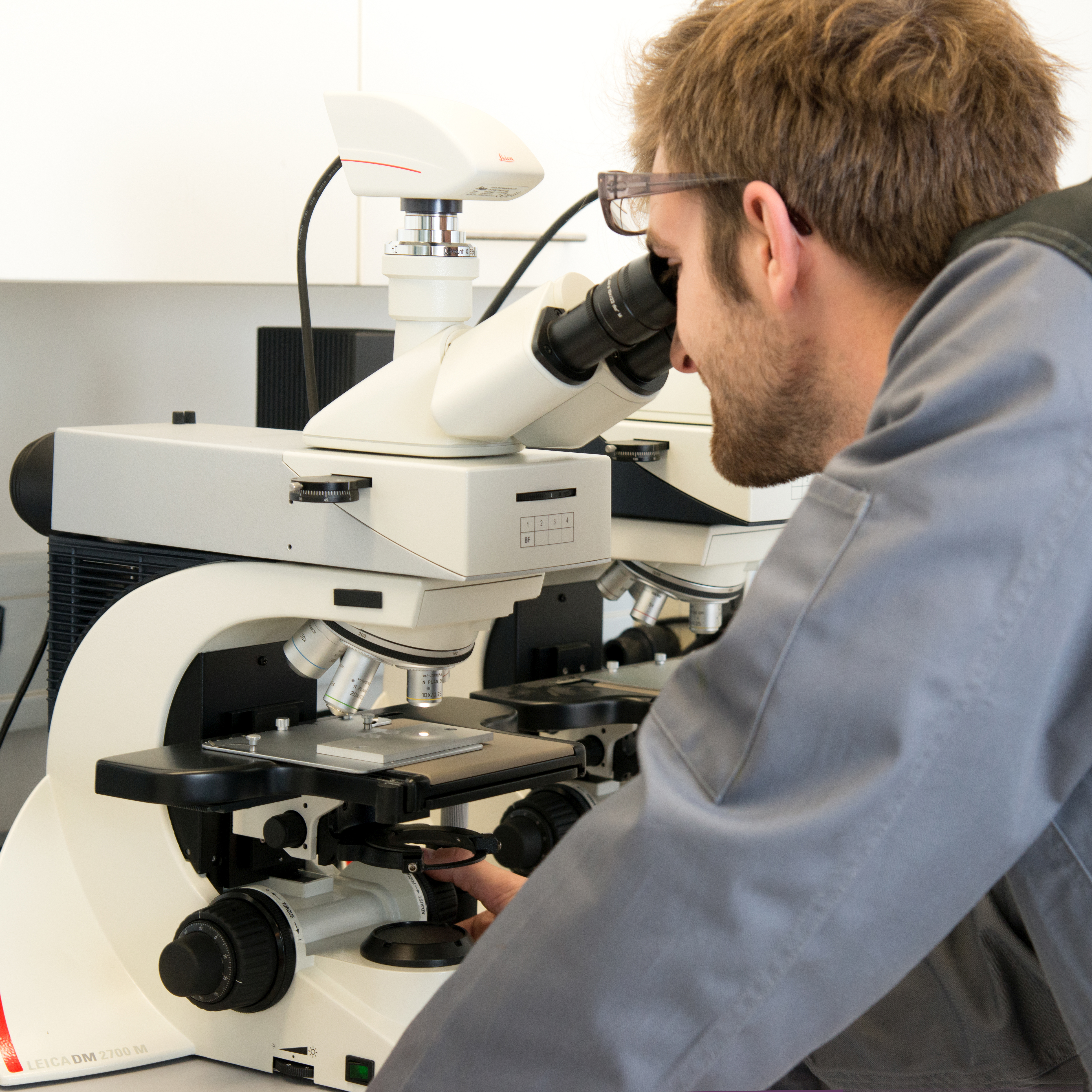 20150921 Pühringer Laboranalyse am Mikroskop.jpg