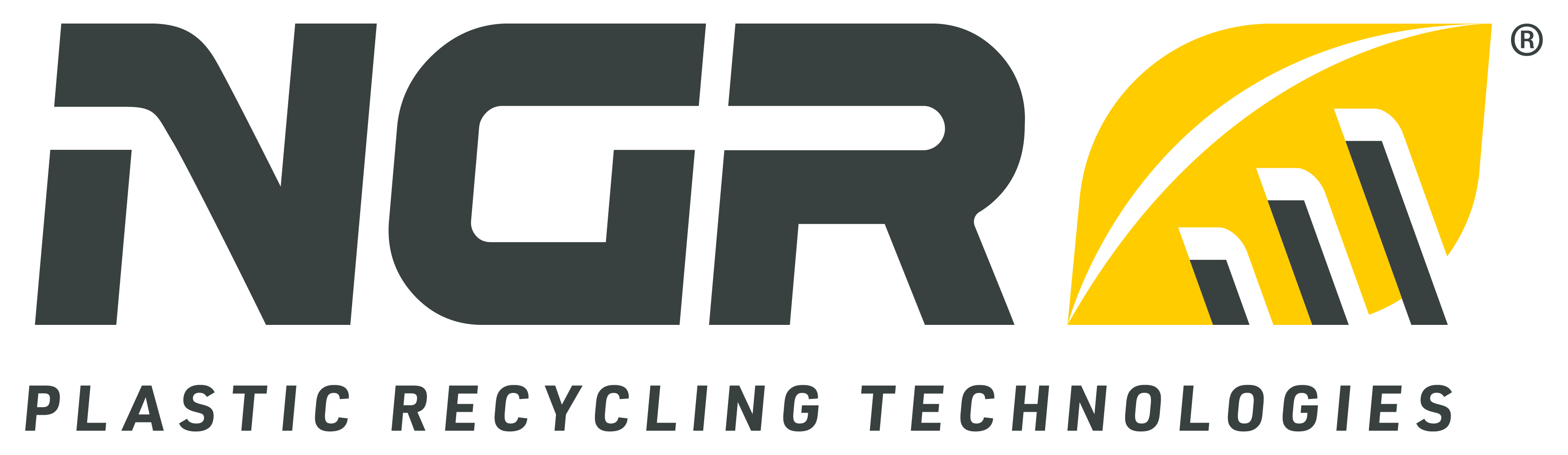 Logo_NGR_positiv_CMYK_300dpi.jpg