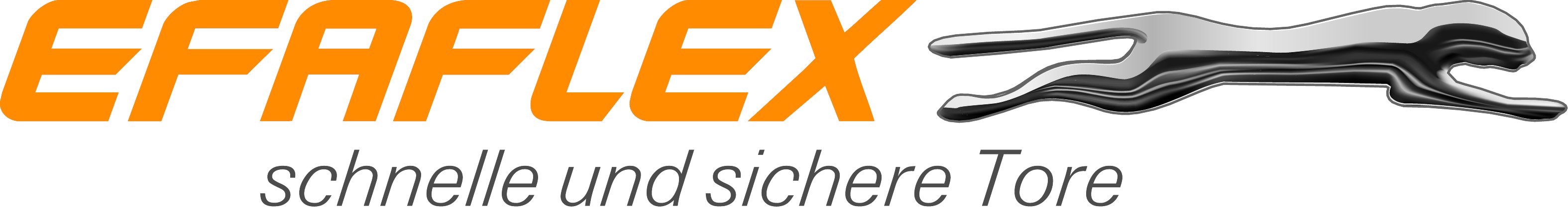 EFAFLEX_Logo_deutsch_4c (008) (2).jpg