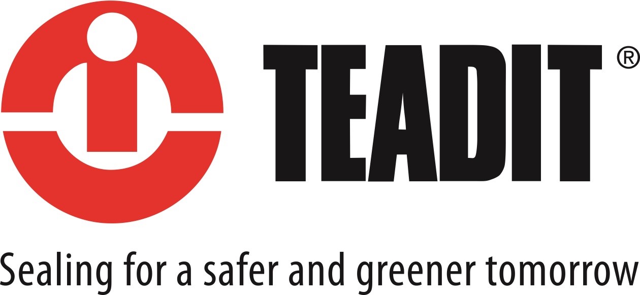 TEADIT Logo (1).jpg