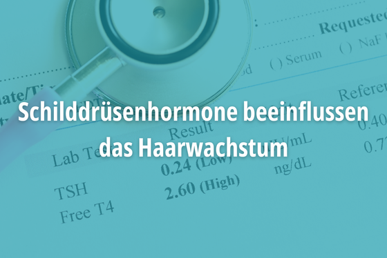 Schilddrüsenhormone beeinflussen das Haarwachstum