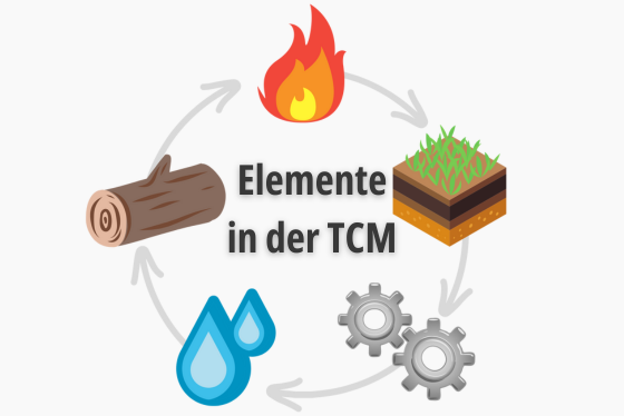 5 Elemente der TCM