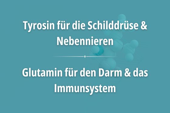 Tyrosin für die Schilddrüse und Nebennieren. Glutamin für den Darm und das Immunsystem.