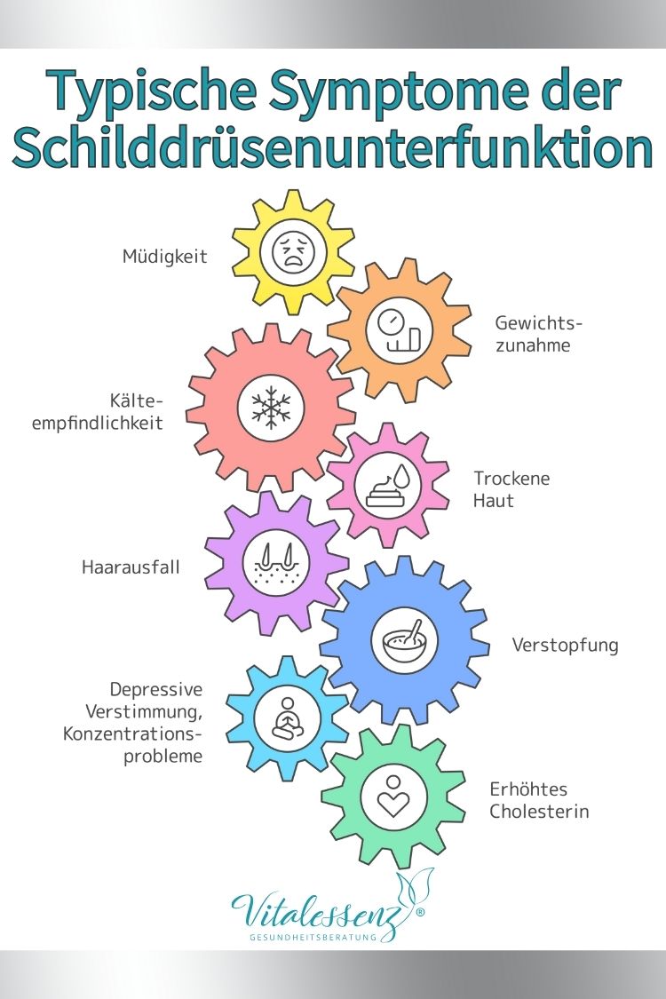 Typische Symptome einer Schilddrüsenunterfunktion