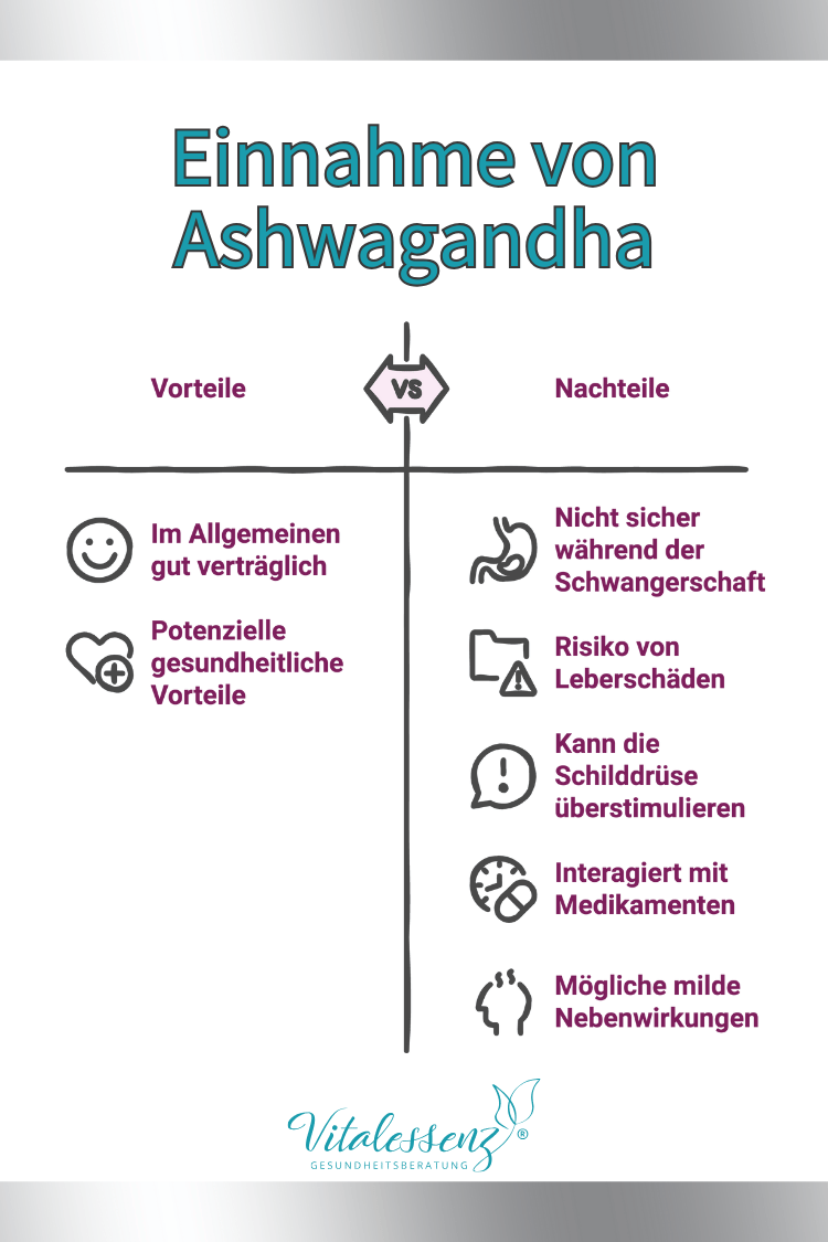 Ashwagandha Schilddrüse Vorteile Nachteile Wirkung