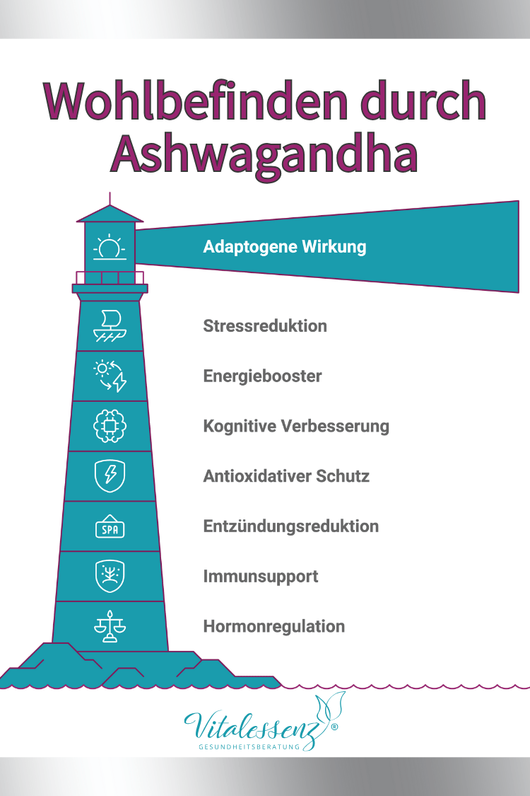 Ashwagandha Schilddrüse Wirkung