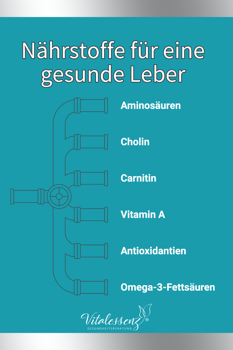 Nährstoffe für eine gesunde Leber