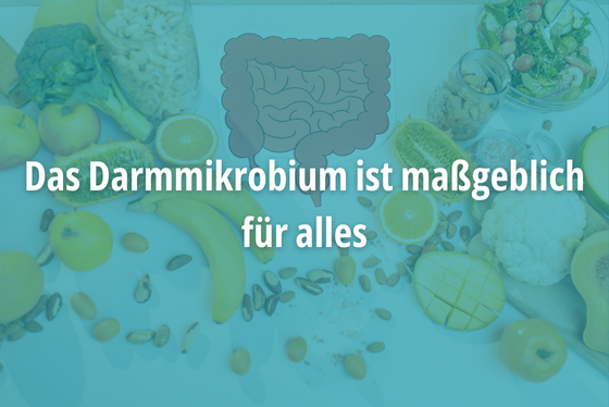 Im Darm fängt alles an