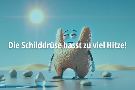 Im Sommer schwitzt auch die Schilddrüse