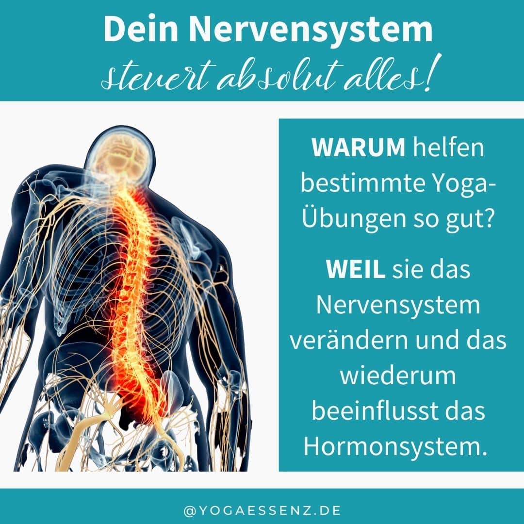 Yoga für das Nervensystem hilft den Hormonen.