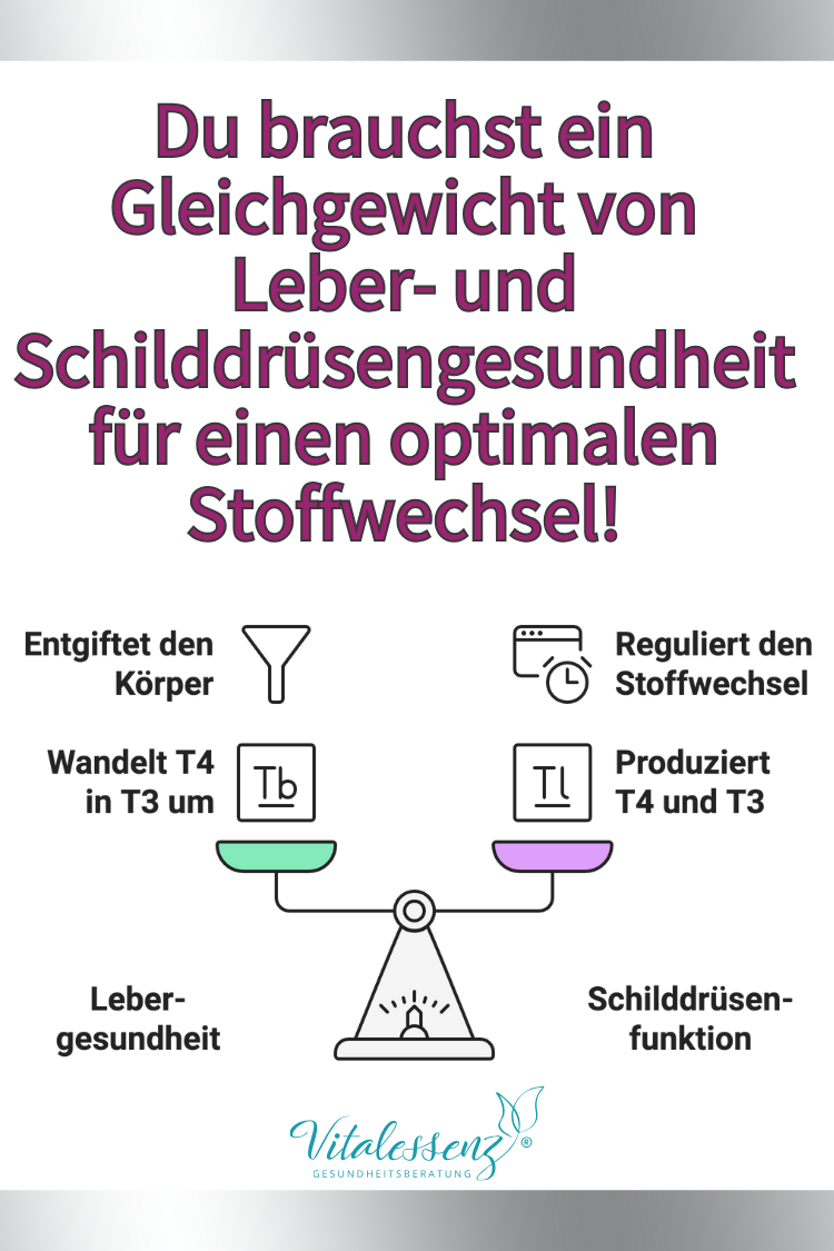 Leber- und Schilddrüsengesundheit brauchen ein Gleichgewicht