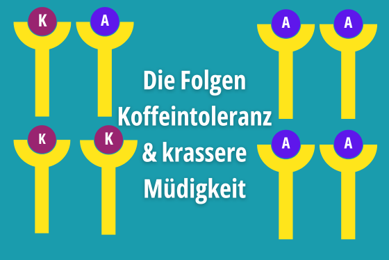 Die Folgen von langfristigem Kaffeekonsum sind Koffeintoleranz und krasse Müdigkeit.